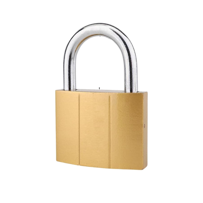 petit cadenas pour valise